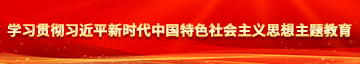 激情中老年人操逼网站高清学习贯彻习近平新时代中国特色社会主义思想主题教育